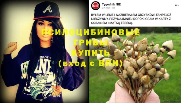 МДПВ Алексин